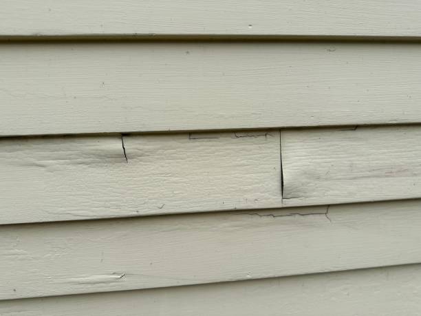 Best Garage Cleanout  in Lake Hamilton, AR