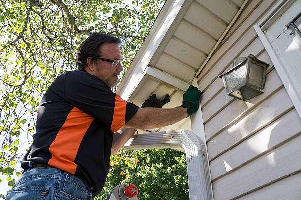 Best Demolition Debris Removal  in Lake Hamilton, AR